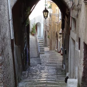 20 - Porta-delloliva