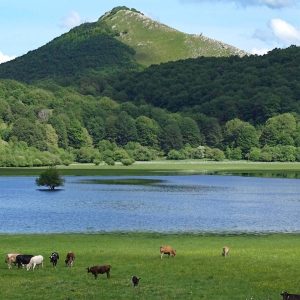 Oasi Naturale Mandranello