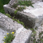 MINOLTA DIGITAL CAMERA