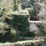 MINOLTA DIGITAL CAMERA