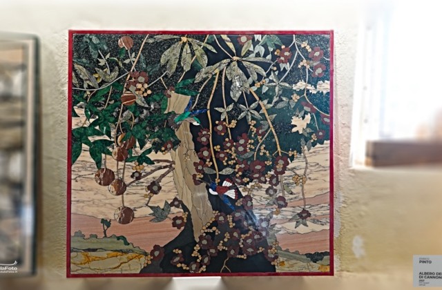 Albero delle palle di cannone