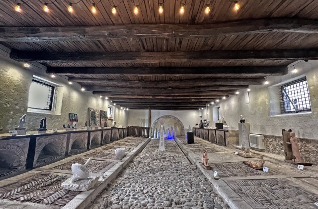 Biennale 2024 Biennale 2024