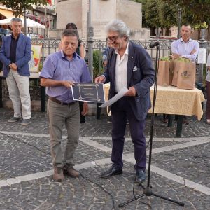 Rocco Regina